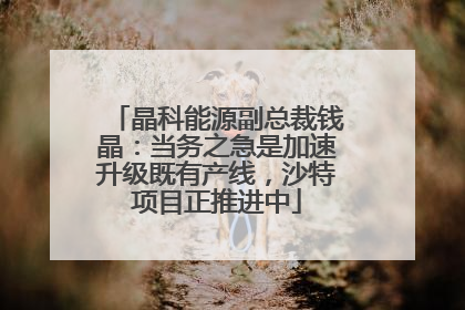晶科能源副总裁钱晶：当务之急是加速升级既有产线，沙特项目正推进中