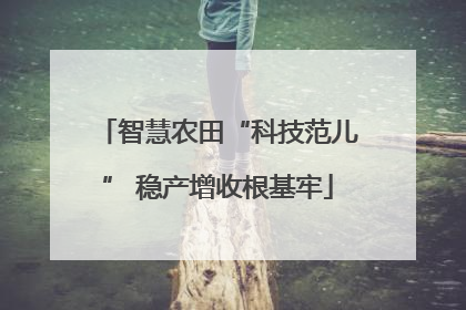 智慧农田“科技范儿” 稳产增收根基牢