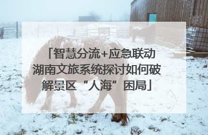 智慧分流+应急联动 湖南文旅系统探讨如何破解景区“人海”困局