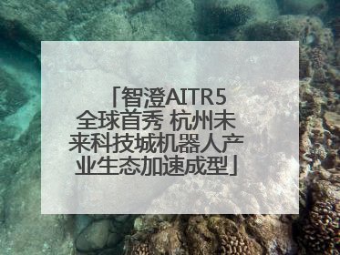智澄AITR5全球首秀 杭州未来科技城机器人产业生态加速成型