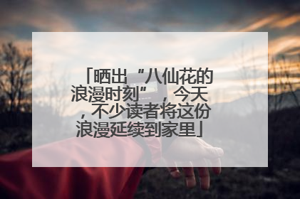 晒出“八仙花的浪漫时刻”，今天，不少读者将这份浪漫延续到家里