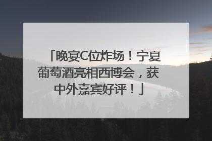 晚宴C位炸场！宁夏葡萄酒亮相西博会，获中外嘉宾好评！