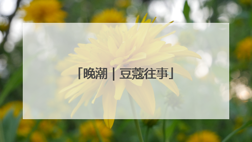 晚潮｜豆蔻往事