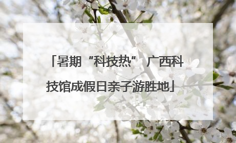 暑期“科技热” 广西科技馆成假日亲子游胜地