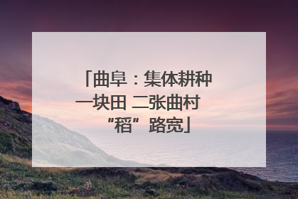 曲阜：集体耕种一块田 二张曲村“稻”路宽