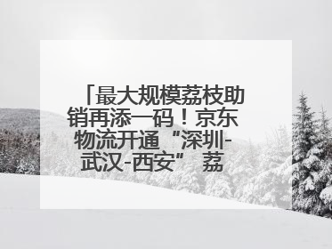 最大规模荔枝助销再添一码！京东物流开通“深圳-武汉-西安” 荔枝全货机航线