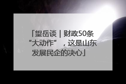 望岳谈｜财政50条“大动作”，这是山东发展民企的决心