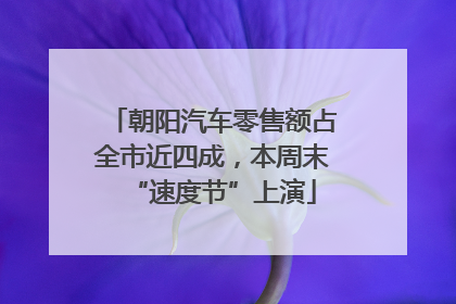 朝阳汽车零售额占全市近四成，本周末“速度节”上演