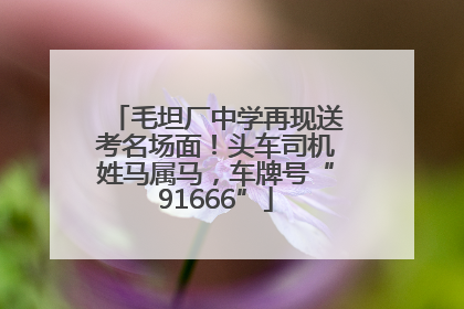 毛坦厂中学再现送考名场面！头车司机姓马属马，车牌号“91666”