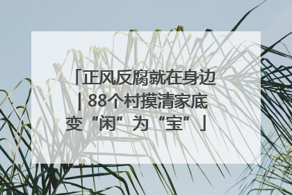 正风反腐就在身边｜88个村摸清家底变“闲”为“宝”