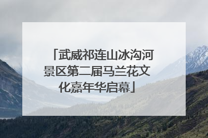 武威祁连山冰沟河景区第二届马兰花文化嘉年华启幕