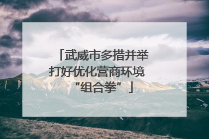 武威市多措并举打好优化营商环境“组合拳”
