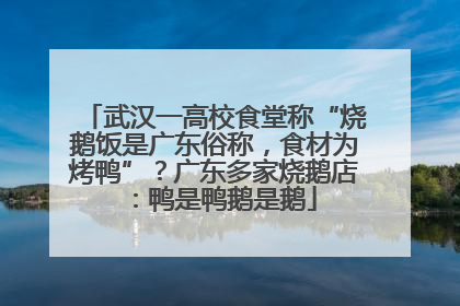 武汉一高校食堂称“烧鹅饭是广东俗称，食材为烤鸭”？广东多家烧鹅店：鸭是鸭鹅是鹅