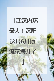 武汉内环最大！汉阳这片6月顶流花海开了