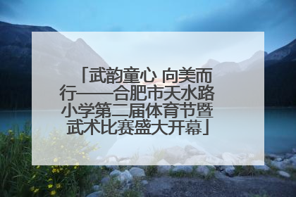 武韵童心 向美而行——合肥市天水路小学第二届体育节暨武术比赛盛大开幕