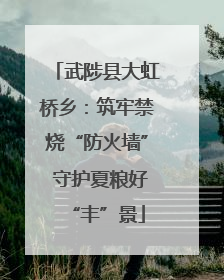 武陟县大虹桥乡：筑牢禁烧“防火墙” 守护夏粮好“丰”景