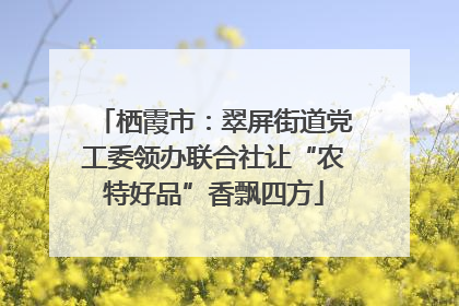 栖霞市：翠屏街道党工委领办联合社让“农特好品”香飘四方