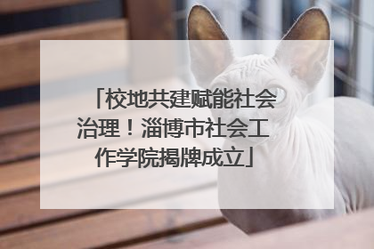 校地共建赋能社会治理！淄博市社会工作学院揭牌成立