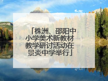 株洲、邵阳中小学美术新教材教学研讨活动在景炎中学举行