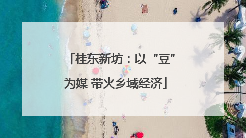 桂东新坊：以“豆”为媒 带火乡域经济