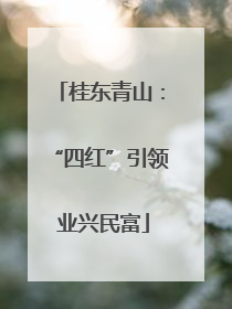 桂东青山：“四红”引领 业兴民富