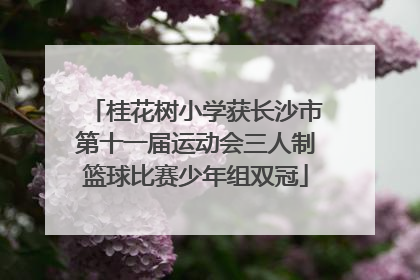 桂花树小学获长沙市第十一届运动会三人制篮球比赛少年组双冠