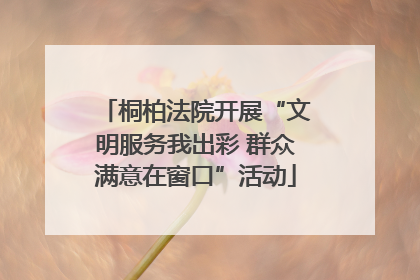 桐柏法院开展“文明服务我出彩 群众满意在窗口”活动
