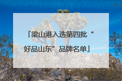 梁山港入选第四批“好品山东”品牌名单