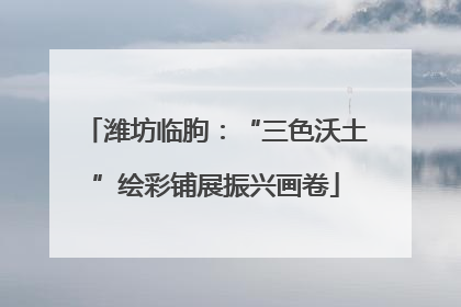 潍坊临朐：“三色沃土”绘彩铺展振兴画卷