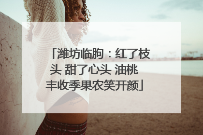 潍坊临朐：红了枝头 甜了心头 油桃丰收季果农笑开颜