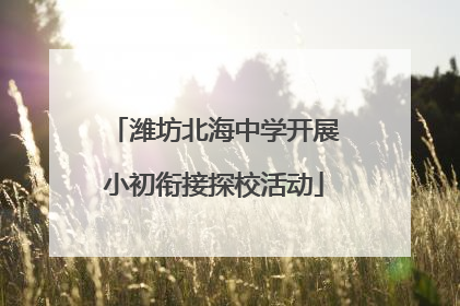 潍坊北海中学开展小初衔接探校活动