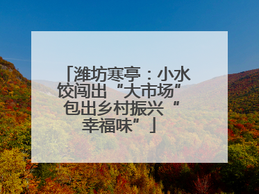 潍坊寒亭：小水饺闯出“大市场” 包出乡村振兴“幸福味”