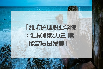 潍坊护理职业学院：汇聚职教力量 赋能高质量发展