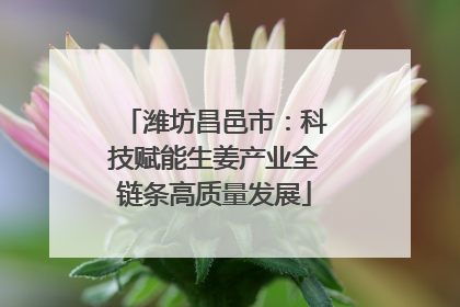 潍坊昌邑市：科技赋能生姜产业全链条高质量发展