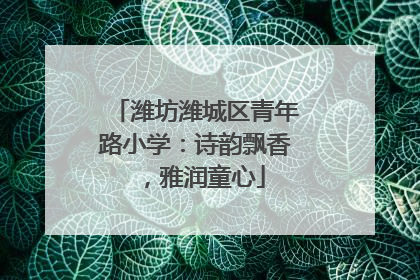 潍坊潍城区青年路小学：诗韵飘香，雅润童心