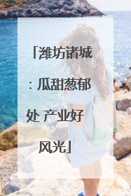 潍坊诸城：瓜甜葱郁处 产业好风光