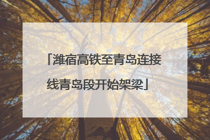 潍宿高铁至青岛连接线青岛段开始架梁
