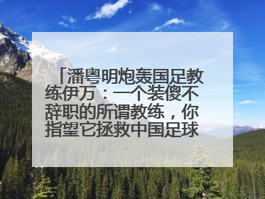 潘粤明炮轰国足教练伊万：一个装傻不辞职的所谓教练，你指望它拯救中国足球！此前曾多次发文评价国足