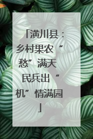 潢川县：乡村果农“愁”满天  民兵出“机”情满园