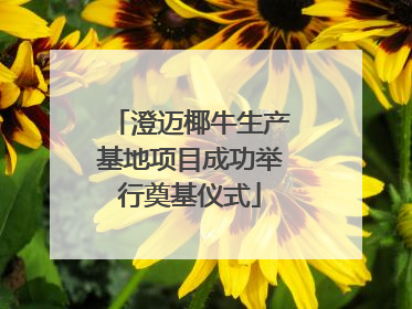 澄迈椰牛生产基地项目成功举行奠基仪式