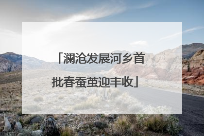 澜沧发展河乡首批春蚕茧迎丰收
