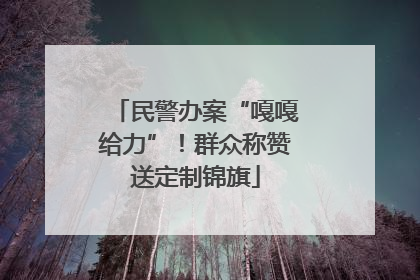 民警办案“嘎嘎给力”！群众称赞送定制锦旗