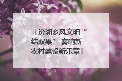 汾湖乡风文明“结双果” 奏响新农村建设新乐章