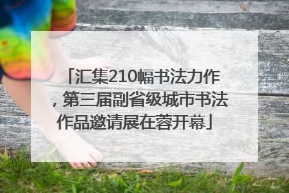 汇集210幅书法力作，第三届副省级城市书法作品邀请展在蓉开幕