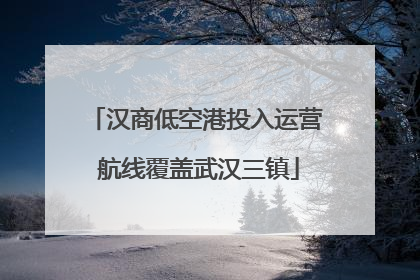 汉商低空港投入运营 航线覆盖武汉三镇