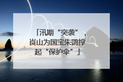 汛期“突袭”，崀山为国宝朱鹮撑起“保护伞”