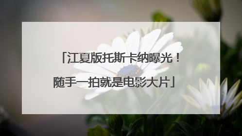 江夏版托斯卡纳曝光！随手一拍就是电影大片