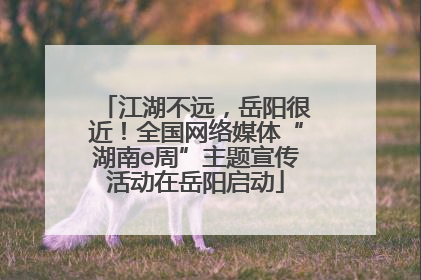 江湖不远，岳阳很近！全国网络媒体“湖南e周”主题宣传活动在岳阳启动