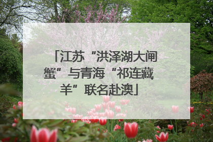 江苏“洪泽湖大闸蟹”与青海“祁连藏羊”联名赴澳