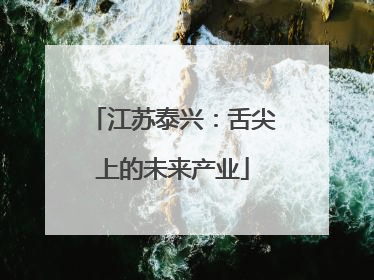 江苏泰兴：舌尖上的未来产业